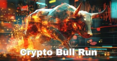 Crypto Bull Run